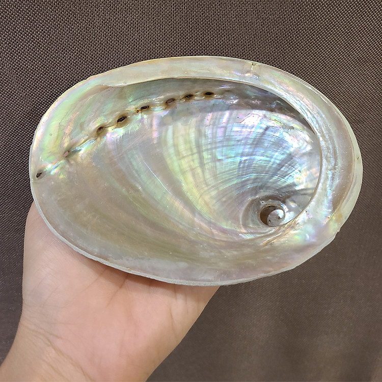 Đĩa Ốc Xà Cừ - Chân gỗ xoài trang trí, đựng xô thơm, trầm hương l XÔ THƠM THANH TẨY