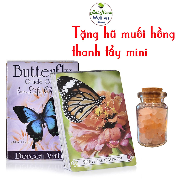 Tìm mua tại Avakids: Bộ bài Tarot Butterfly Oracle Cards kèm quà - Ngập tràn khuyến mãi