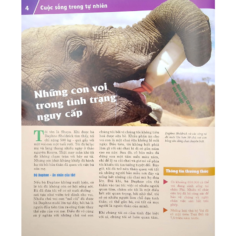 Thế Nào Và Tại Sao - Động Vật Hoang Dã Cần Được Bảo Vệ Trước Nguy Cơ Tuyệt Chủng - Ảnh 4