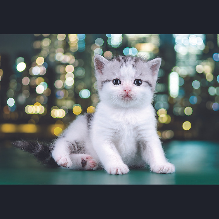 Tranh Xếp Hình Tia Sáng Thơ Ngây Chính hãng Ưu đãi - Hình ảnh 2