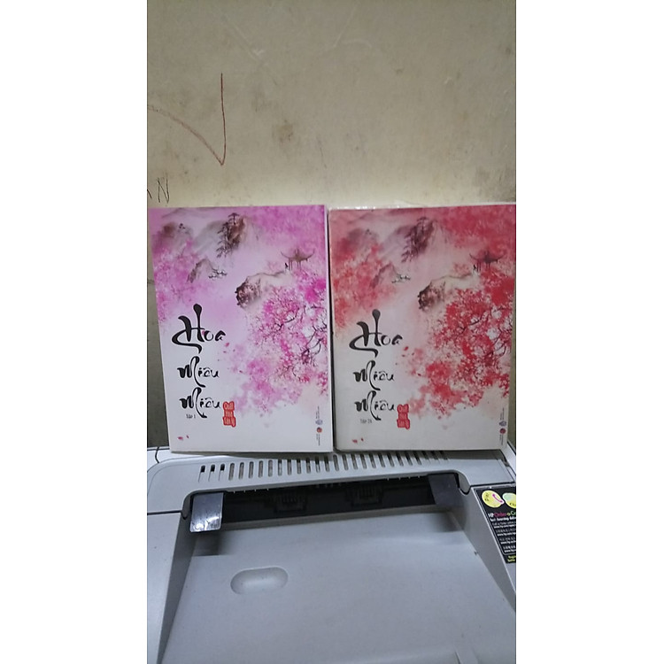 HOA MIÊU MIÊU - Ảnh 2