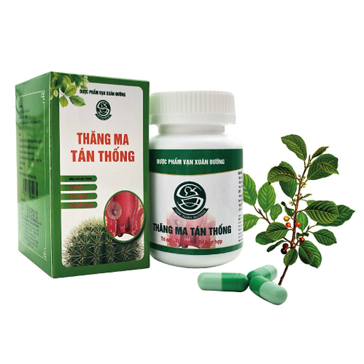 Viên uống hỗ trợ điều trị bệnh trĩ Thăng Ma Tán Thống (Hỗ trợ điều trị bệnh Trĩ nội, Trĩ ngoại, Trĩ hỗn hợp)
