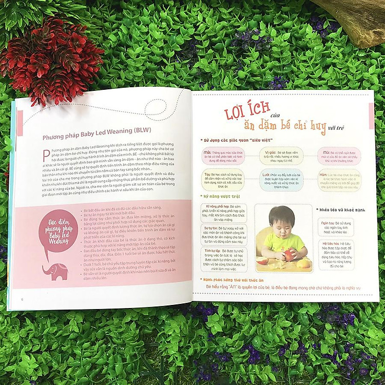 Ăn Dặm Không Phải Là Cuộc Chiến (Tái Bản 05/2018) - Ảnh 6