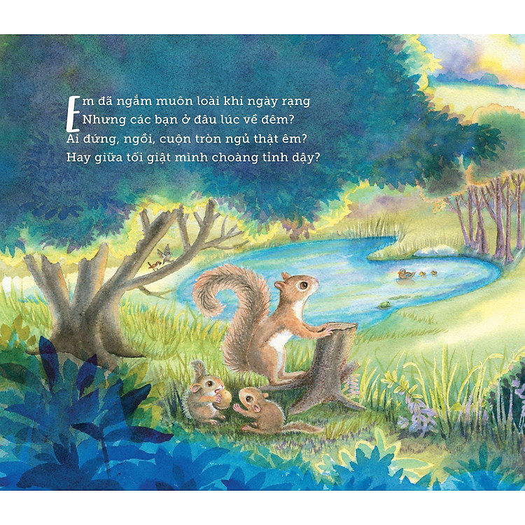 Ngủ Ấm Ngủ Êm - Đêm Nay Loài Vật Ngủ Nơi Nào? - Ảnh 2