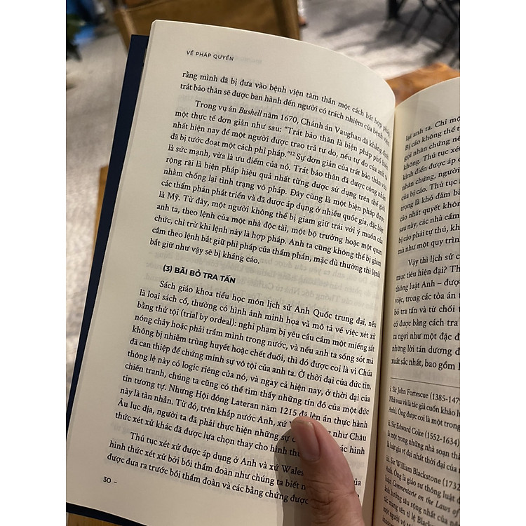 (Viết lại) VỀ PHÁP QUYỀN - Tom Bingham - Ảnh 3