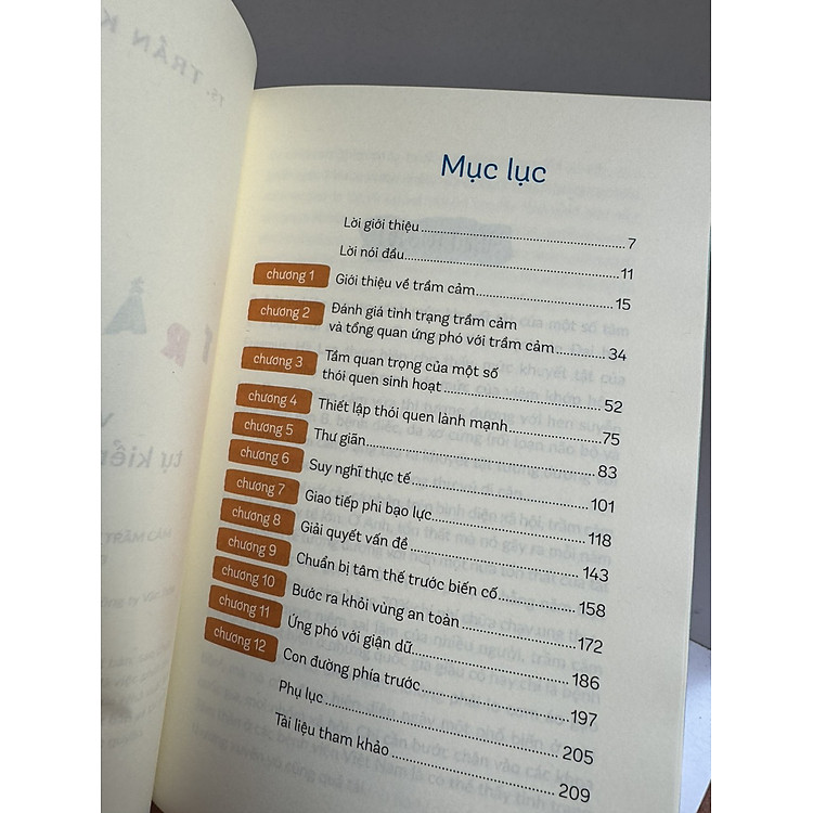 TRẦM CẢM VÀ KỸ NĂNG TỰ KIỂM SOÁT TRẦM CẢM - Ảnh 3