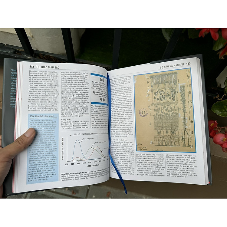 SINH HỌC - Khái lược những tư tưởng lớn - Ảnh 2