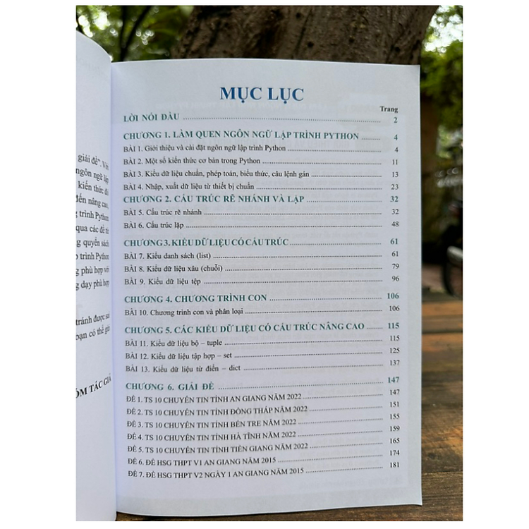 Python Từ Cơ Bản Đến Giải Đề (PV) - Ảnh 2
