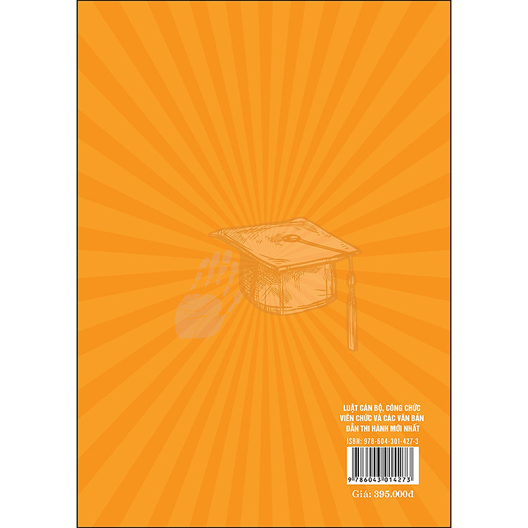 Luật Cán Bộ, Công Chức - Luật Viên Chức Và Các Văn Bản Hướng Dẫn Thi Hành Mới Nhất - Ảnh 2