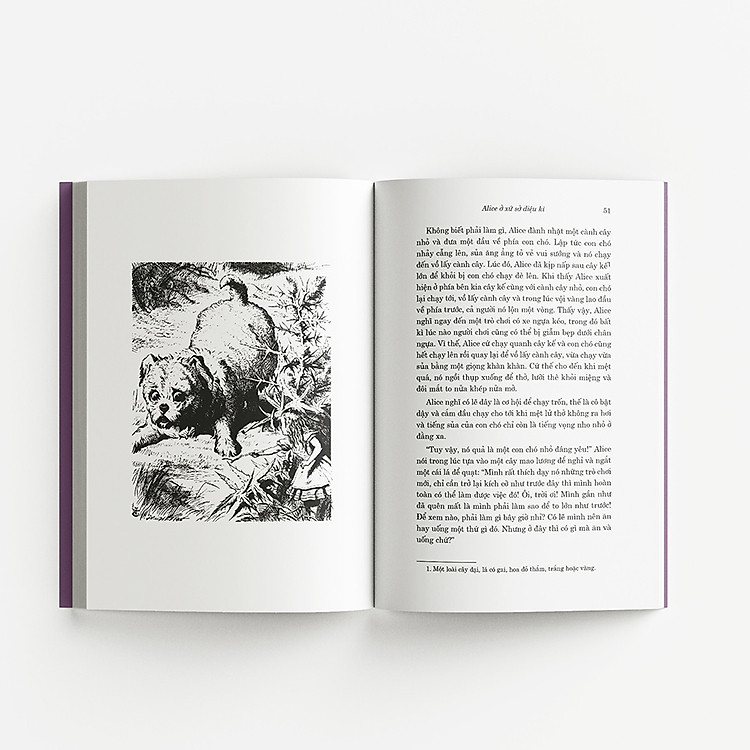 Classic - Alice ở xứ sở diệu kì & Alice ở xứ sở trong gương - Ảnh 5