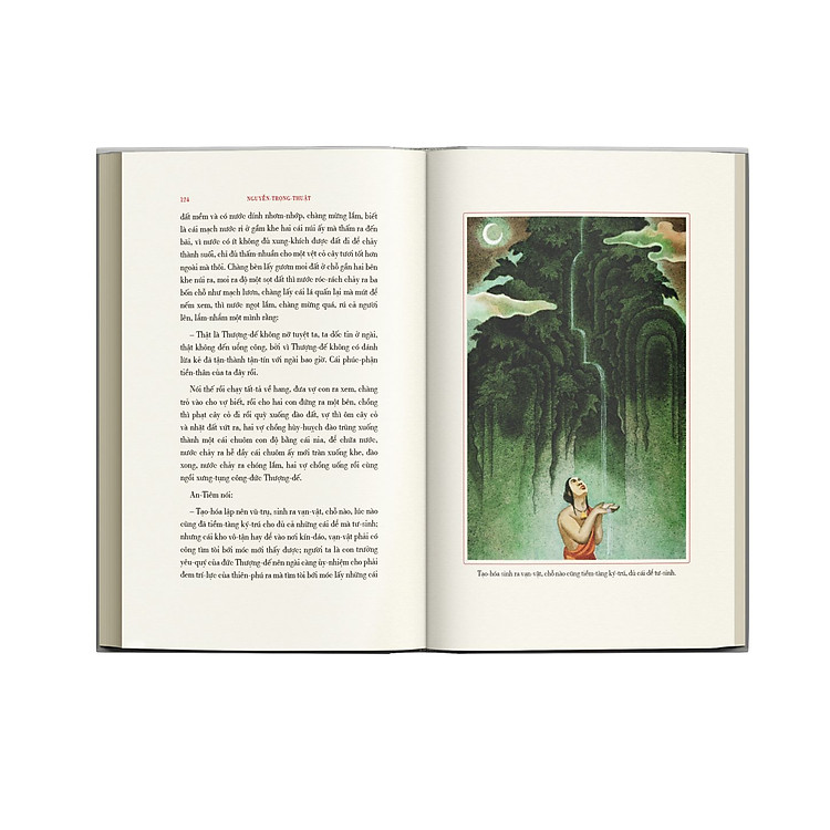 Quả dưa đỏ - Ảnh 4