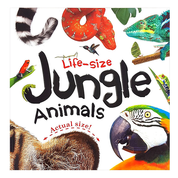 Sách Life-Size Jungle Animals