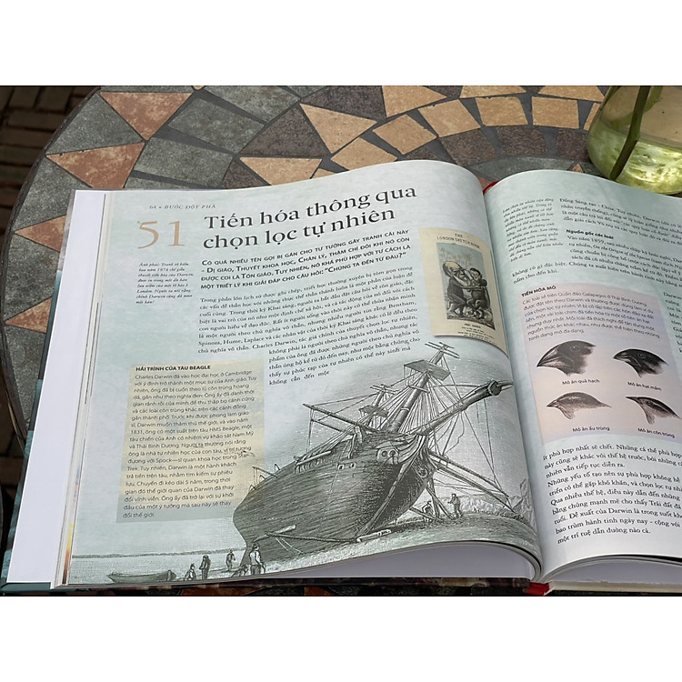 Lược Sử Về Triết Học – Con Đường Tìm Kiếm Sự Thông Thái Từ Ranh Giới Giữa Huyền Bí Và Lý Trí - Ảnh 4