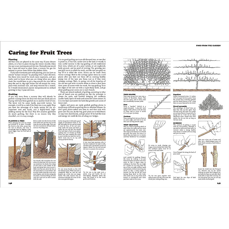 The Complete Book Of Self-Sufficiency - The Classic Guide For Realists And Dreamers - Ảnh 4