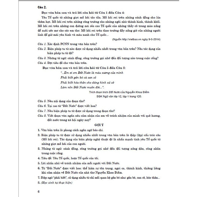 Hướng Dẫn Ôn Thi THPT Quốc Gia Môn Ngữ Văn - Ảnh 4