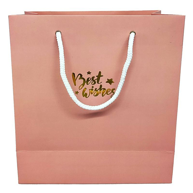 Túi Giấy Đựng Quà Ép Nhũ 25 x 21 cm - Greenwood 27 - Ảnh 2