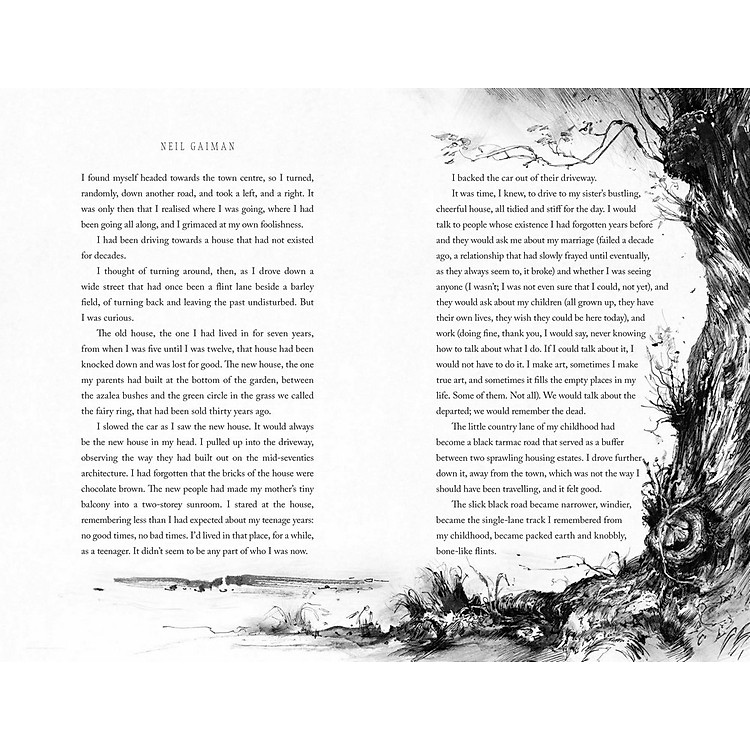 Tiểu thuyết tiếng Anh: The Ocean At The End Of The Lane: Illustrated Edition - Ảnh 3