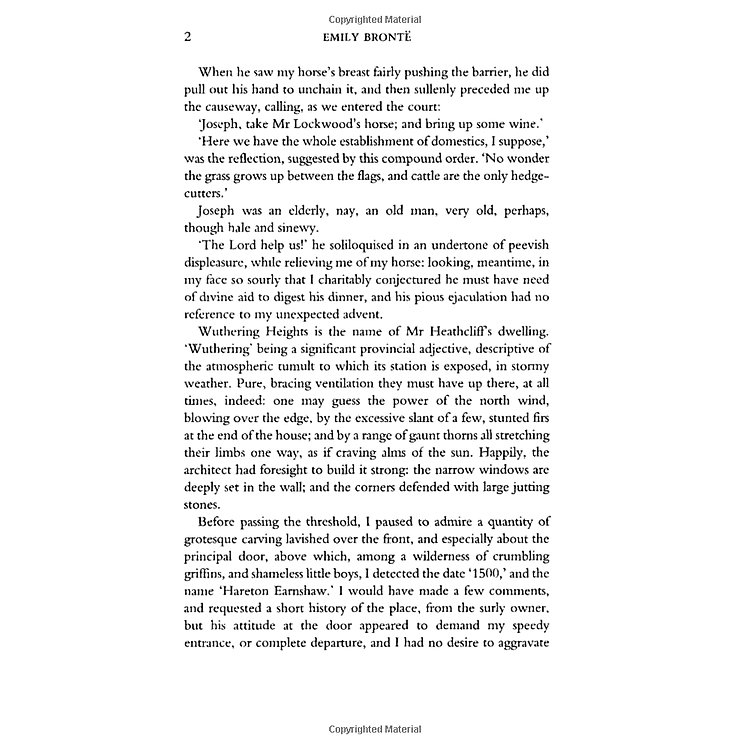 Wuthering Heights - Ảnh 6