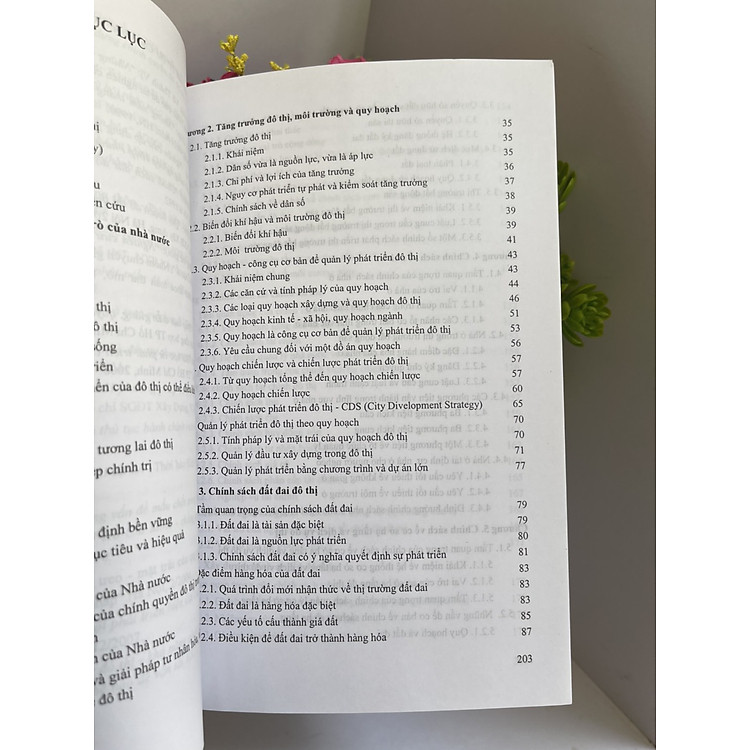 CHÍNH SÁCH ĐÔ THỊ TẦM NHÌN BAO QUÁT VÀ HỆ THỐNG CỦA NHÀ QUẢN LÝ ĐÔ THỊ - Ảnh 2