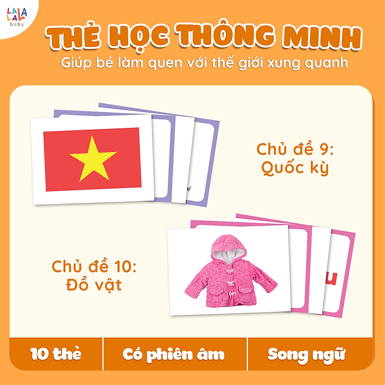 Bộ 100 Thẻ Học Thông Minh Glenn Doman Chính hãng Ưu đãi - Hình ảnh 5