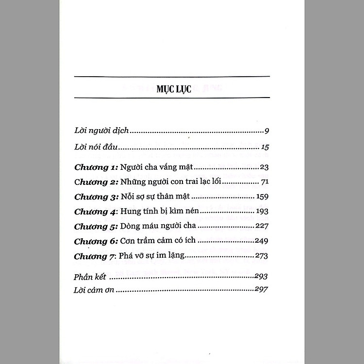 Vắng Cha, Con Trai Lạc Lối (Tìm Lại Bản Dạng Nam Tính) - Ảnh 2