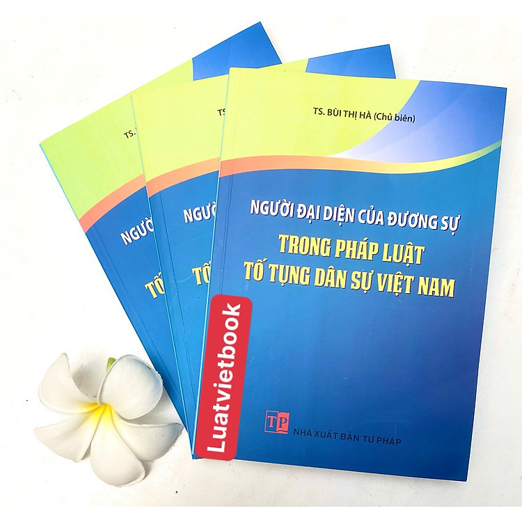 Người Đại Diện Của Dương Sự Trong Pháp Luật Tố Tụng Dân Sự Việt Nam - Ảnh 2