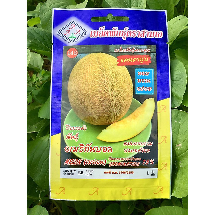 Hạt giống Dưa Lưới Hà Lan