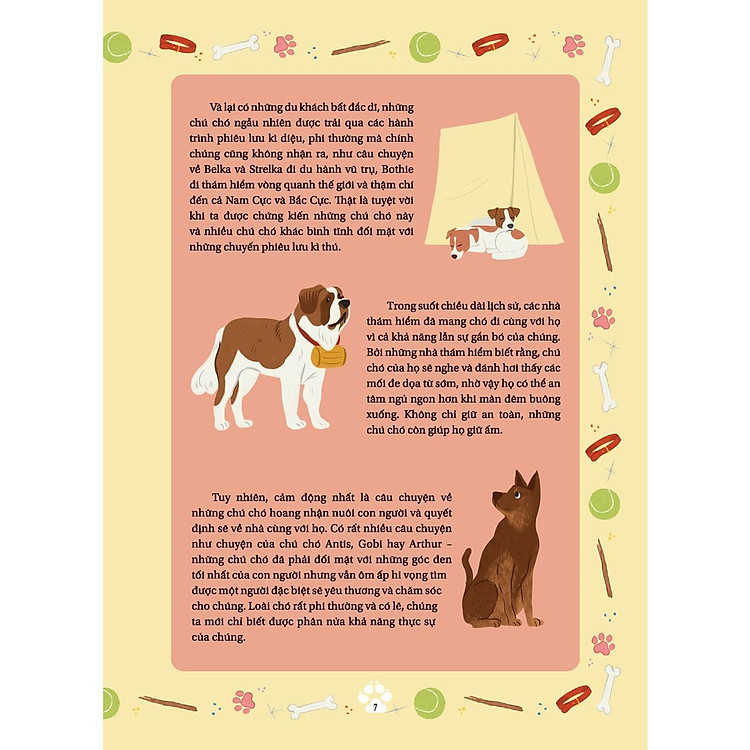 Những Câu Chuyện Về Loài Chó - Những Câu Chuyện Có Thật Về Các Chú Chó Anh Hùng - Ảnh 5