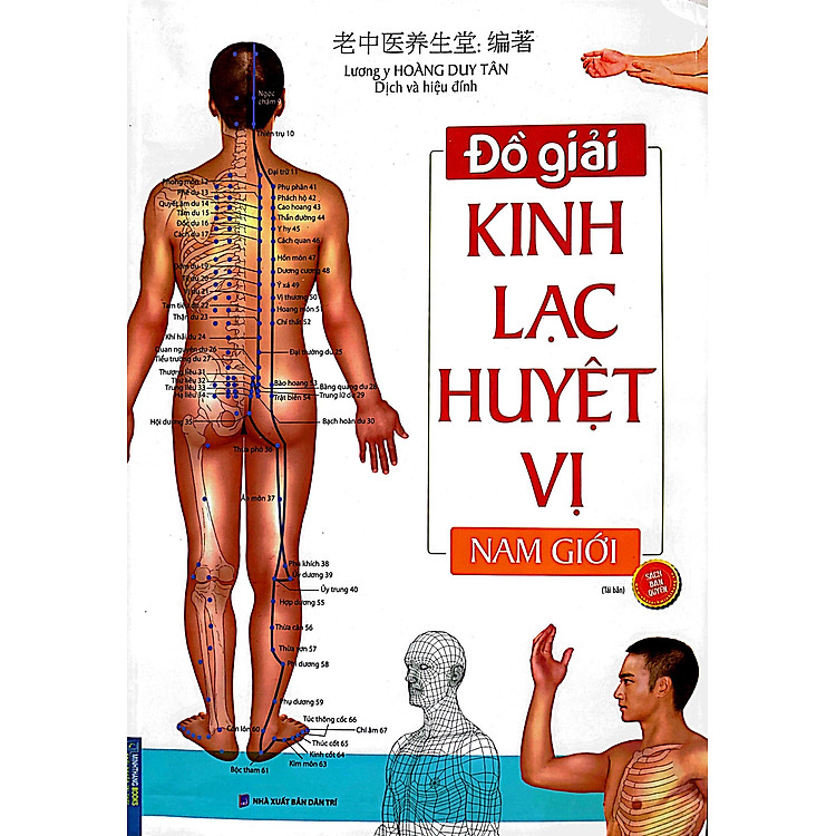 Đồ giải Kinh Lạc Huyệt Vị Nam giới - Ảnh 2