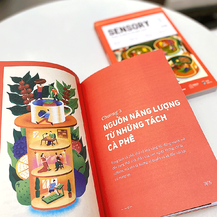 Cà Insider No.1 - SENSORY - Chạm Cà Phê Từ Mọi Giác Quan - Ảnh 5