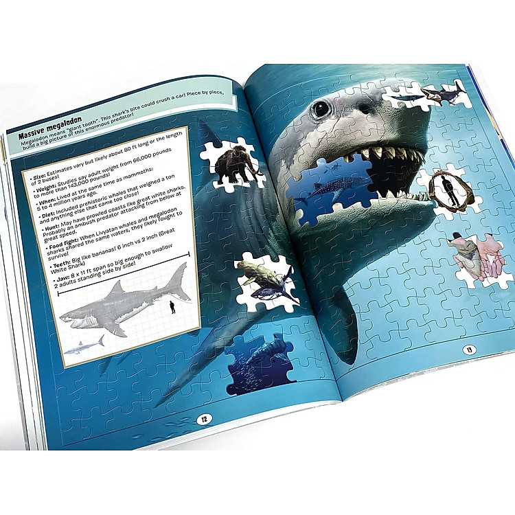World Of Sharks Sticker Book Treasury - Ảnh 5