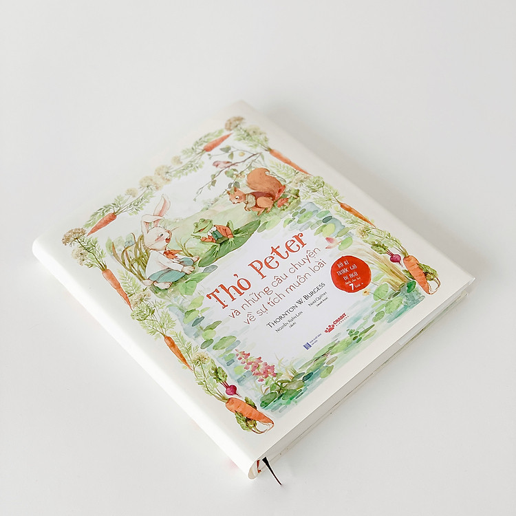 Kể Chuyện Kinh Điển Cho Trẻ - Mẹ Già Gió Tây, Thỏ Peter, Già Ếch - Ảnh 6