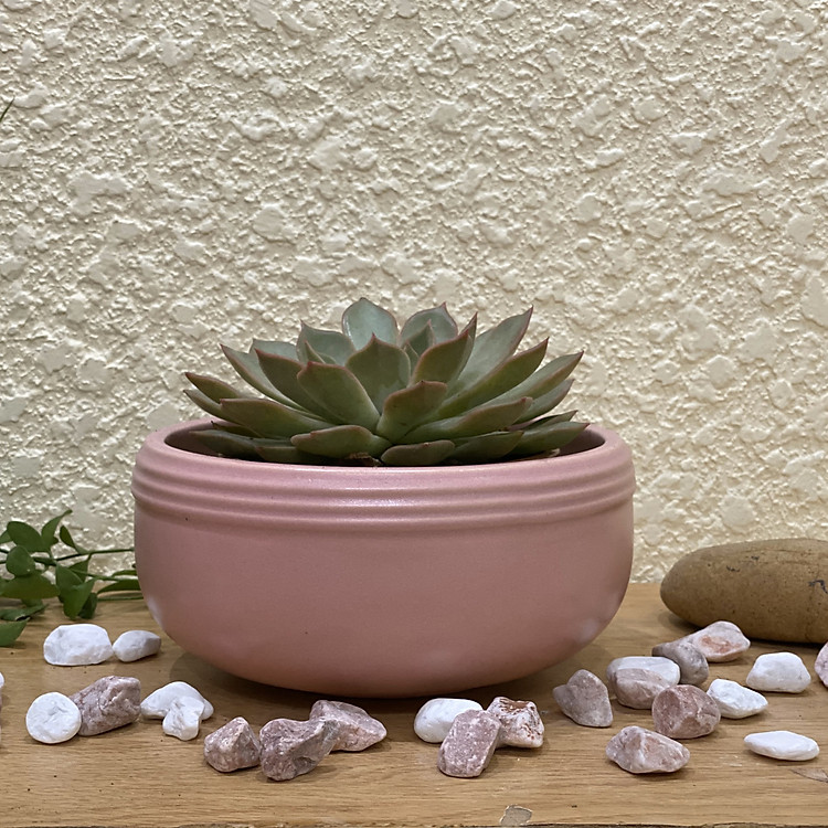 CHẬU GỐM TRỒNG CÂY CAO CẤP-DÁNG BẦU TRÒN-20.5X10.5CM