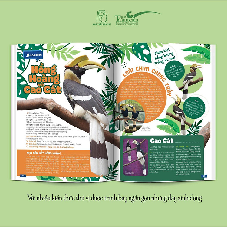 Thảo Cầm Viên Sài Gòn - Kho Báu Trong Lòng Thành Phố - Ảnh 7