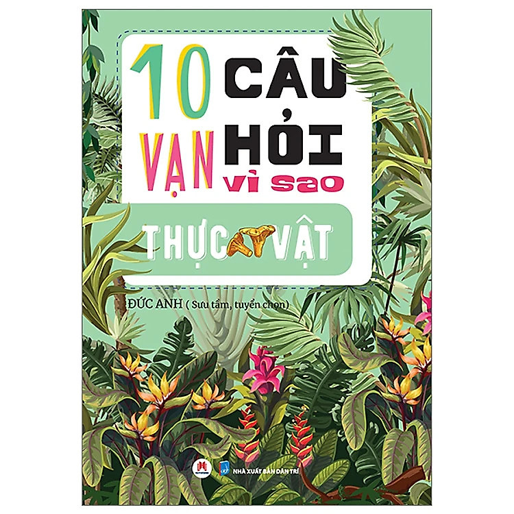 Trọn Bộ 10 Vạn Câu Hỏi Vì Sao: Vũ Trụ, Vật Lý, Con Người, Thực Vật, Động Vật - Ảnh 5