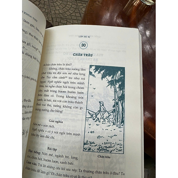 LUÂN LÝ GIÁO KHOA THƯ, QUỐC VĂN GIÁO KHOA THƯ - Ảnh 3