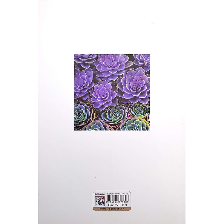 Dưỡng Sinh (2022) - Ảnh 7