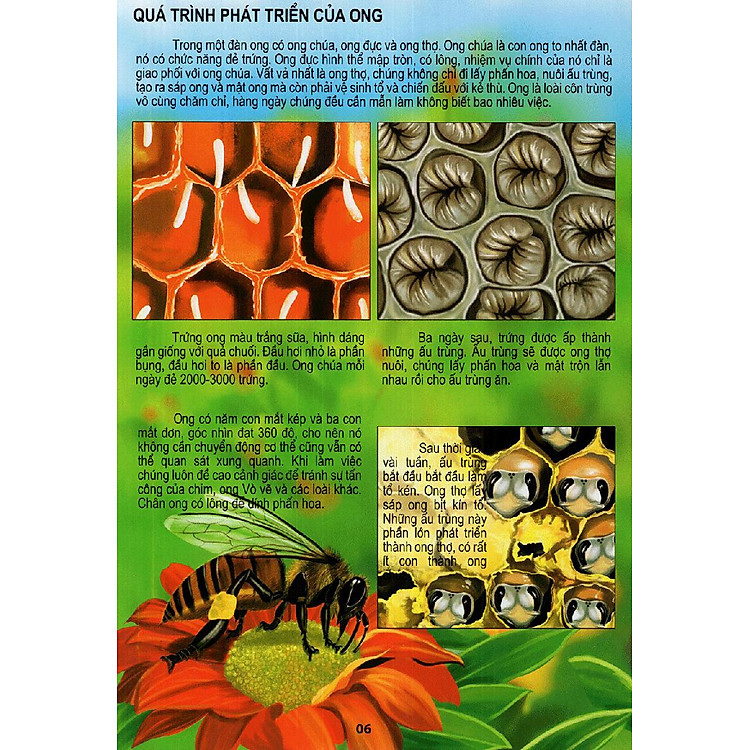 Thế Giới Động Vật Kì Thú - Ảnh 3