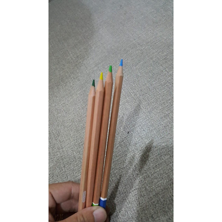 Bút Chì Thiên Long CP-C08 (16 màu) - Ảnh 5