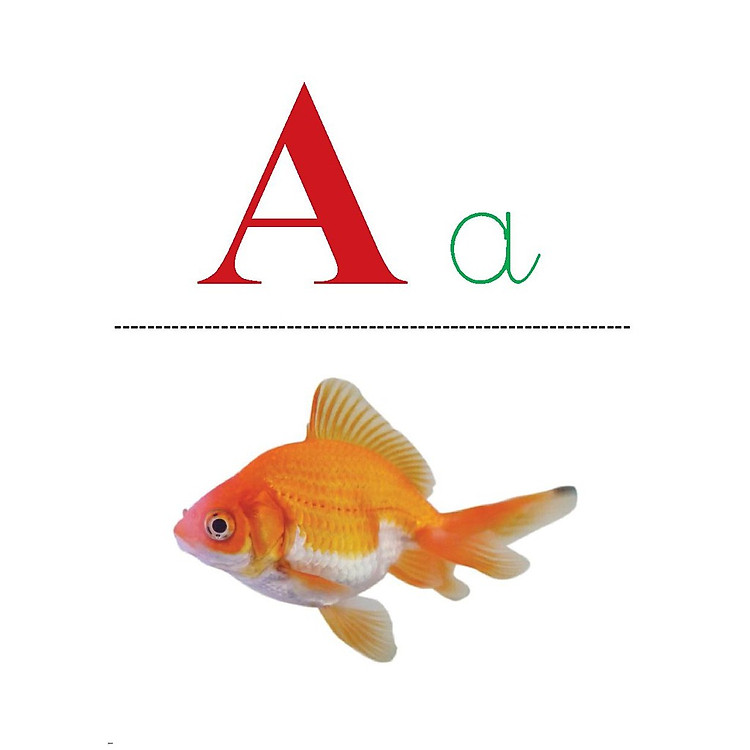 Flashcard Bảng Chữ Cái - Số Đếm Tiếng Việt Đầu Tiên Cho Bé - Ảnh 4