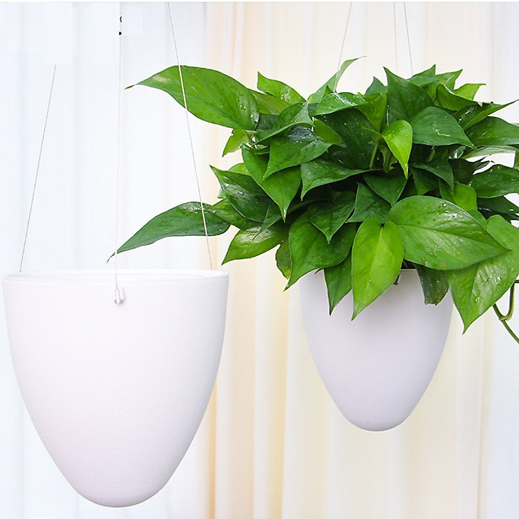 Chậu trồng cây treo thông minh - Chậu hình quả trứng