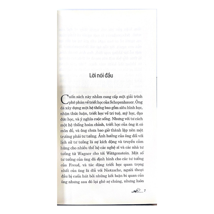 Dẫn Luận Về Schopenhauer - Ảnh 6