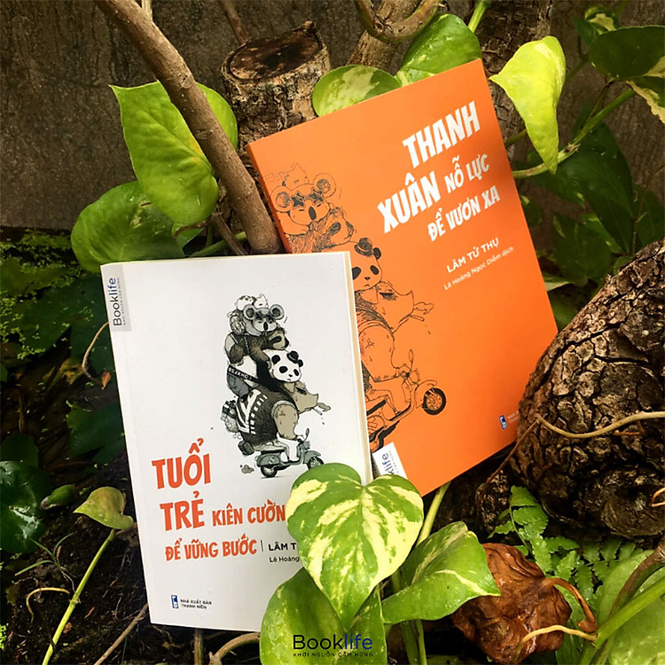 Tuổi Trẻ Vững Bước Để Vươn Xa - Ảnh 2