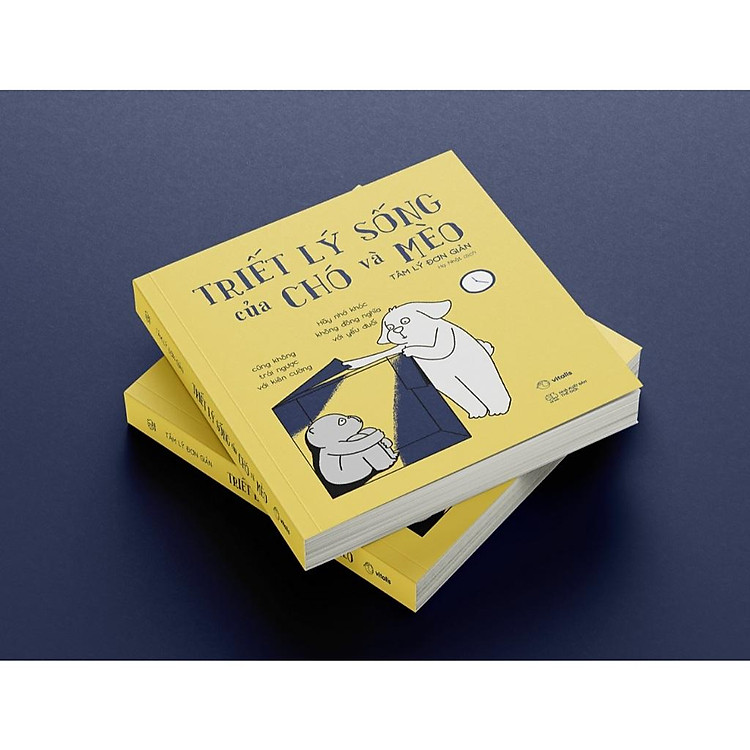 Triết Lý Sống Của Chó Và Mèo - Ảnh 4