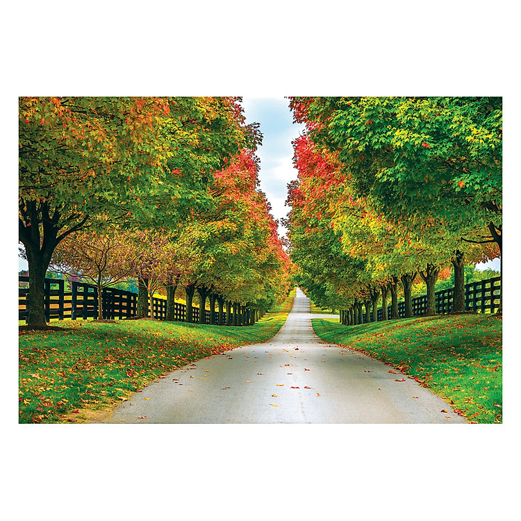 Tranh xếp hình Tia Sáng Chớm Thu Chính hãng Giá rẻ - Hình ảnh 2