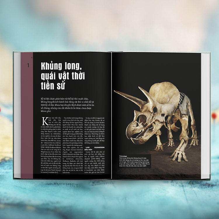 Lịch Sử - Bí Ẩn Của Lịch Sử (Mysteries In History) - Ảnh 4