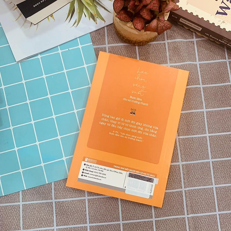 Lựa Chọn Sáng Suốt - Bước Đệm Cho Sự Trưởng Thành - Ảnh 3