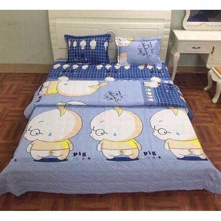 Chăn hè Cotton Poly lợn