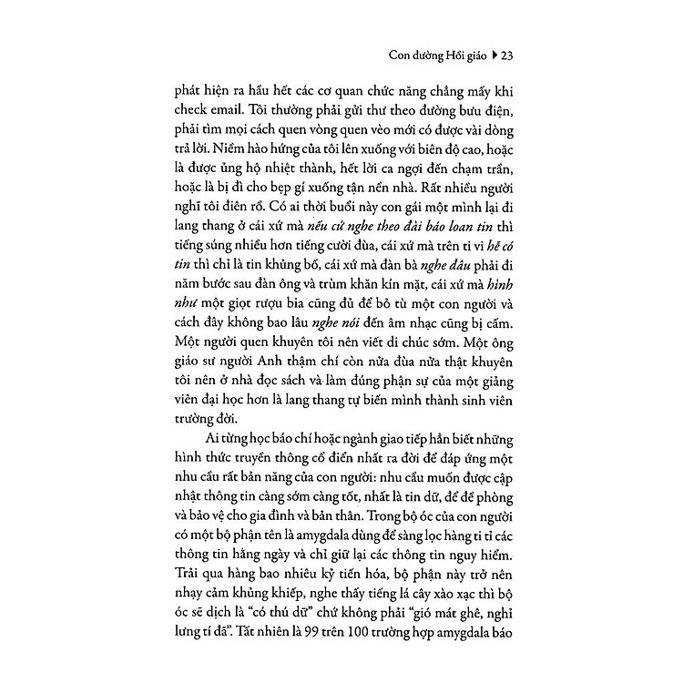 Con Đường Hồi Giáo - Ảnh 3