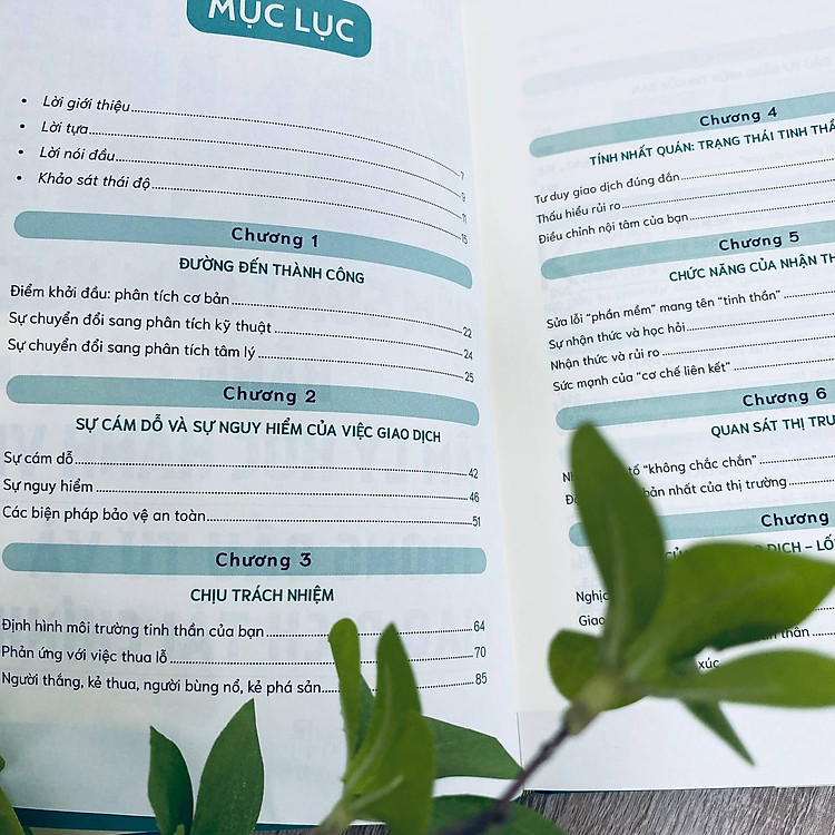 Trading in The Zone - Thực Hành Kiểm Soát Cảm Xúc bằng Tâm Lý Học Hành Vi trong Đầu Tư và Giao Dịch - Ảnh 6